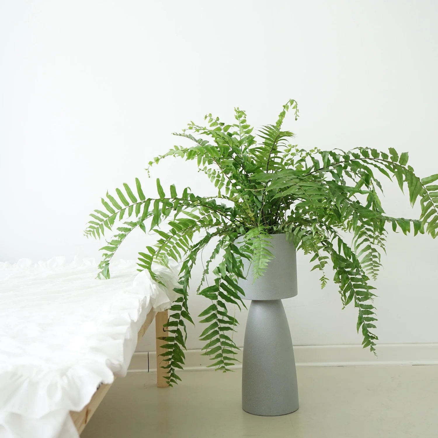 Nordic Simple Style Floor Large Cement Planter Holder Indoor Plants Flower Pot Shape Morden Luxury