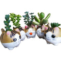 Hot Sale Cartoon Tiny Pots Cute Cat Succulent Planter Creative Ceramic Animal Mini Flower Pot Maceteros Para Suculentas