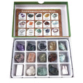 HZ Hot Selling Natural Fossils and Mineral Crystal Box Set