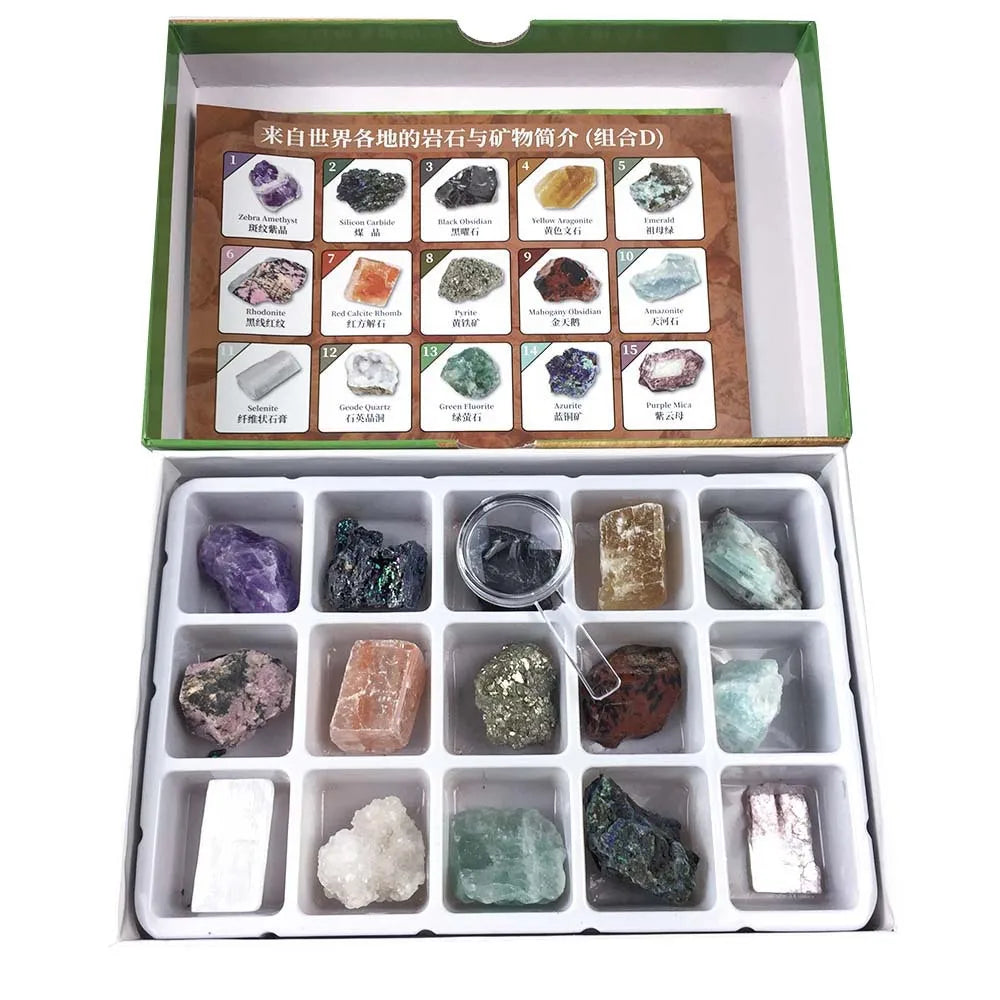 HZ Hot Selling Natural Fossils and Mineral Crystal Box Set