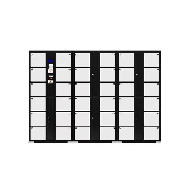 Finger Print Operate Electronic Locker Airport Smart Parcel Locker Smart Digital Locker