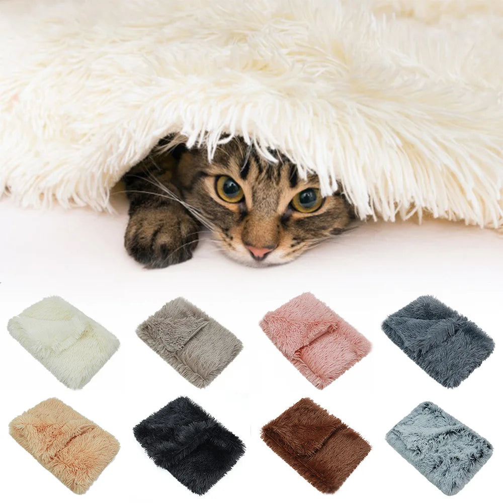Hot Selling Long Plush Pet Throw Blanket Soft Extra Warm Cat Dog Sleep Mat with Solid Pattern