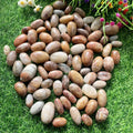 China Supplier New Arrival Nature Rough Crystal Thousand Garden Quartz Tumbles for Sale