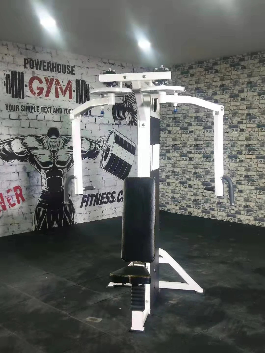 Commercial Fitness Equipment Pectoral Fly/Rear Deltoid Free Weight Exercise Strength Training
