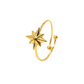 Hot Sale Vintage Elegant Stainless Steel Minimalist Star Ring PVD 18K Gold Plating Quality Waterproof Ring for Women Daily Life MegaBDM