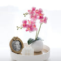 DREA Hot Selling Real Touch PVC Orchids Pot Flower Artificial Orchid Plants for Indoor Decoration
