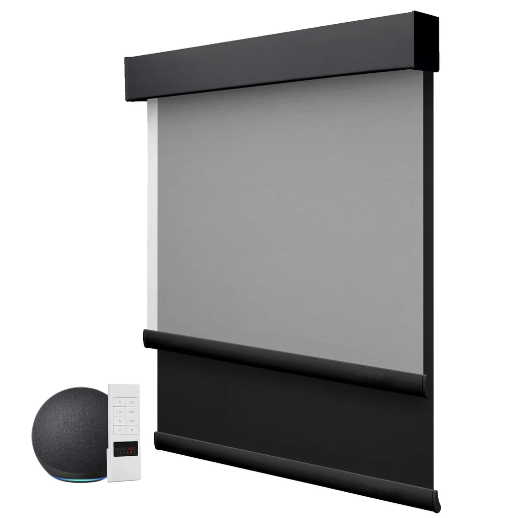 ZSTARR Wholesale Window Curtains Electric Smart Motorized Remote Control Double Layer 2-in-1Day and Night Roller Blinds Shades