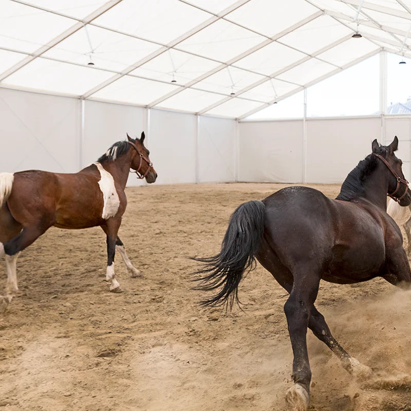 30x60M Marquee Horse Riding Arena Pavilion Tent with Waterproof PVC Cover & Aluminum Frame