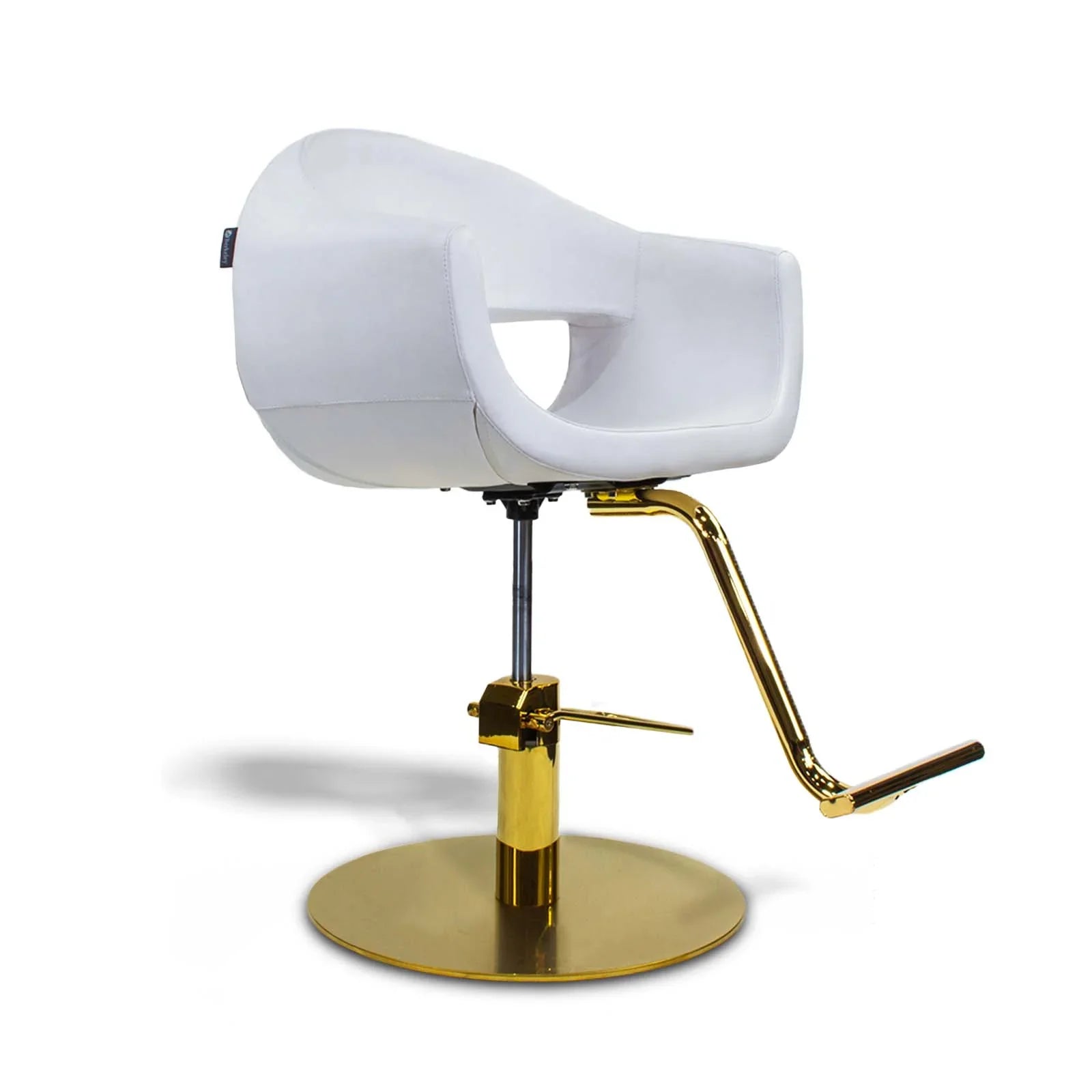 Salon Furniture Hairdressing Recline Barber Chair