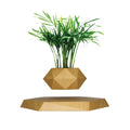 Creative Intelligent Maglev Flowerpot | Creative Fashionable Potted Plant | Modern Home Decoration