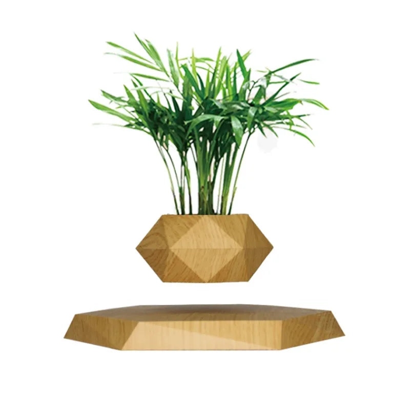 Creative Intelligent Maglev Flowerpot | Creative Fashionable Potted Plant | Modern Home Decoration