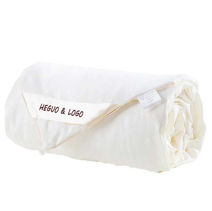 Factory Direct Supply Silk Quilt Core 100% Mulberry Silk Quilt Four Seasons Quilt Gifts Customized Wholesale