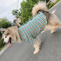 S~6XL  Wholesale Sleeve T-shirt Golden Retriever Clothes Big Large Dog Summer Apparel