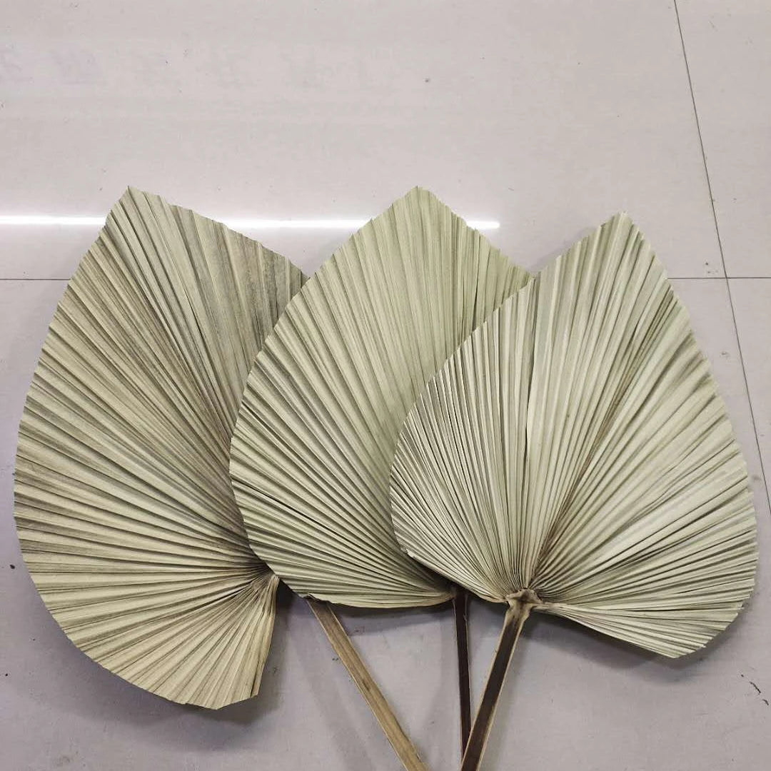 Pure Natural Various Forms of Air-dried Top Palm Leaves and Fan Leaves Decorative Flower Arrangements