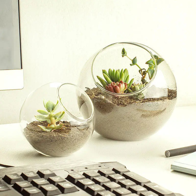 Classic Clear Glass Terrarium Vase Slant Cut Bubble Bowls for Home Decor for Fish Fruit Plant Containers