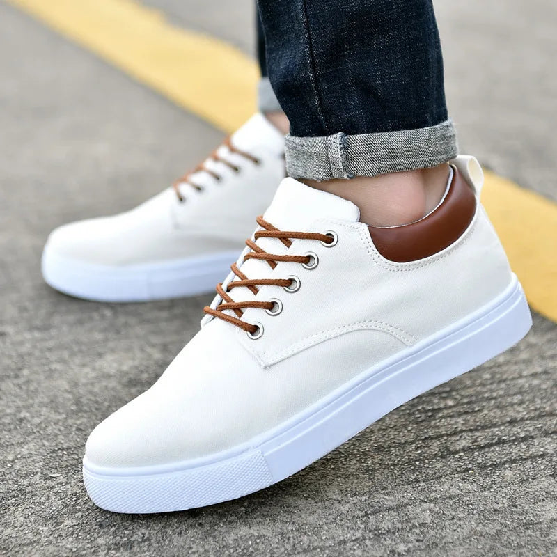 Summer Fashion Canvas Shoes Men Match All Trend Large Size Low Cut Casual Shoes for Men