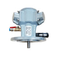 1/8HP Piston Pneumatic Motor 1/8HP Horsepower Electric Tool Mixer 010 Pneumatic Motor