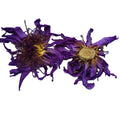 500g New Blue Lotus Dried Flowers Tea New Trend Dried Blue Lotus Flower for Sale