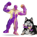 Extreme Tough Pet Chew Toy Muscle Warrior Nylon Interact Relieve Boredom Chewing Clean Teeth Dog Chew Toy for Aggressive Chewers