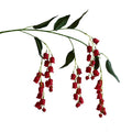 New Arrivals Hanging Faux Flower Lily of the Valley Silk Artificial Flowers for Home Decoration