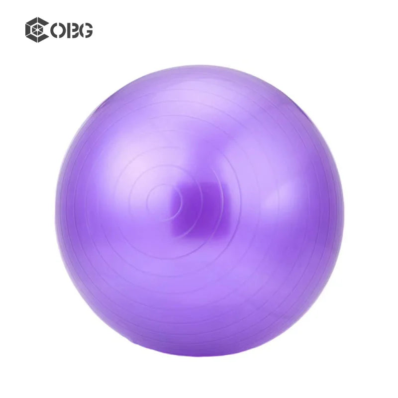 Hot Sell Inflatable Pvc Gym Exercise Ball Soft 65cm Yoga Balls for Body Fitness