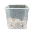 Transparent Square Plastic Pots of Plants Garden Flowers Pots  Visibility Self Watering Pot Indoor and Outdoor