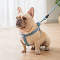 Adjustable Nylon Puppy Vest Harness Quick Release Feature Outdoor Walking Freedom No Pull Dog Harness for Puppies Adult Dogs