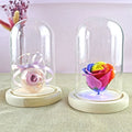Wedding Decor Valentine Gifts Custom Large Small Bell Glass Cloche with Lights Glass Bell Dome Jar with LED Light Wooden Base