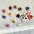 Artificial Flower Small Rose  Pin  Exquisite Suit Coat Accessories  Photography Wedding Supplies Groom Bride