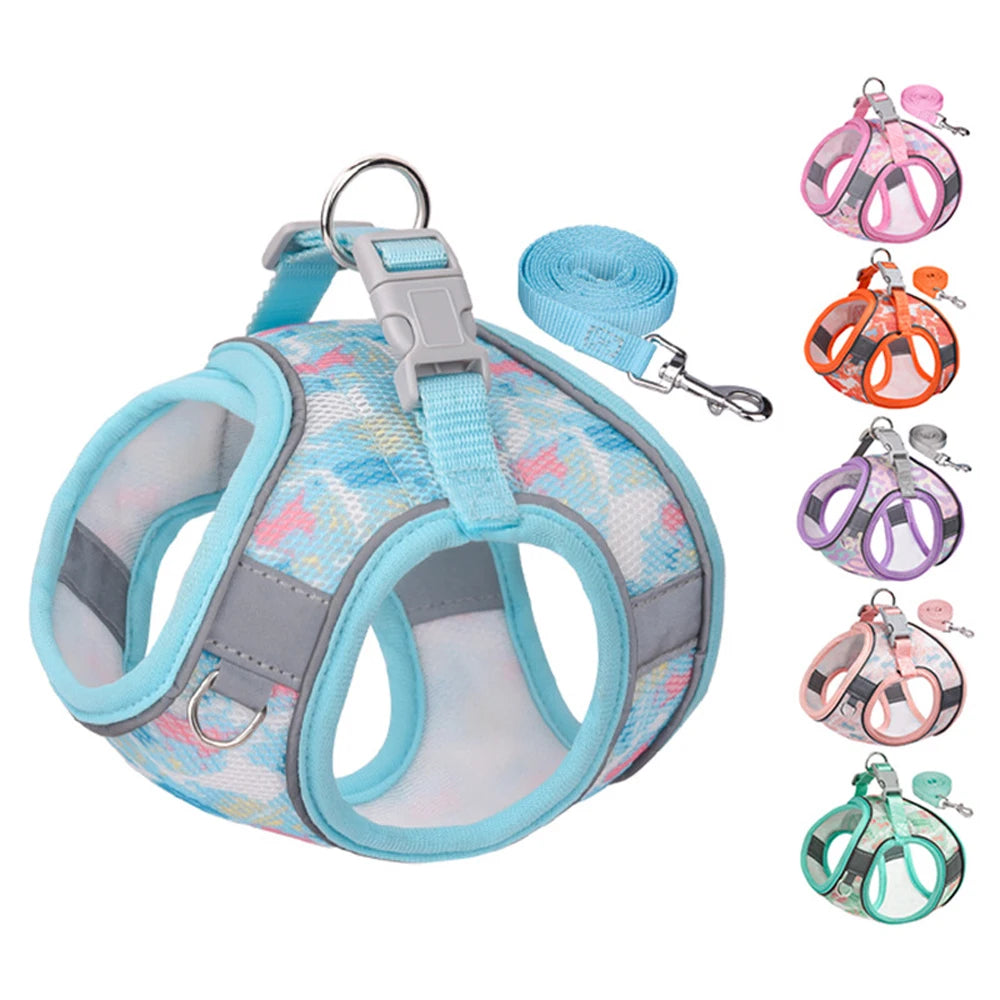 Fashionable Reflective Teddy Small Pattern Dog Harness Polyester Leash Set for All Sizes Pets for Outdoor Sports