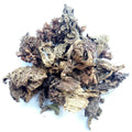 Pure Dried Tibet Lamiophlomis Rotata Herb Wild Lamiophlomis Rotata Leaf for Sale