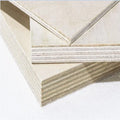 FSC Certified 1220x2440mm Full Birch Plywood Consmos Brand B/BB BB/CP Baltic Birch Plywood
