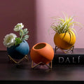 Custom Design Colorful Small Mini Artificial Succulent Planter Metal Stand Kit Ceramic Flower Plant Pots