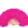 Direct Factory Sale Eco-Friendly Painted Flower Style Hand Fan for Weddings & Dance Foldable Feather Design