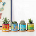 Modern Bohemia Glazed Ceramic Bonsai Succulent Plant Pot Mini Indoor Flower Pot for Home Decor