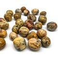 Natural Crystal Crazy Agate 2-3cm Tumble Polished Healing Stone Gemstone Yellow Crazy Agate Tumbled for Decoration