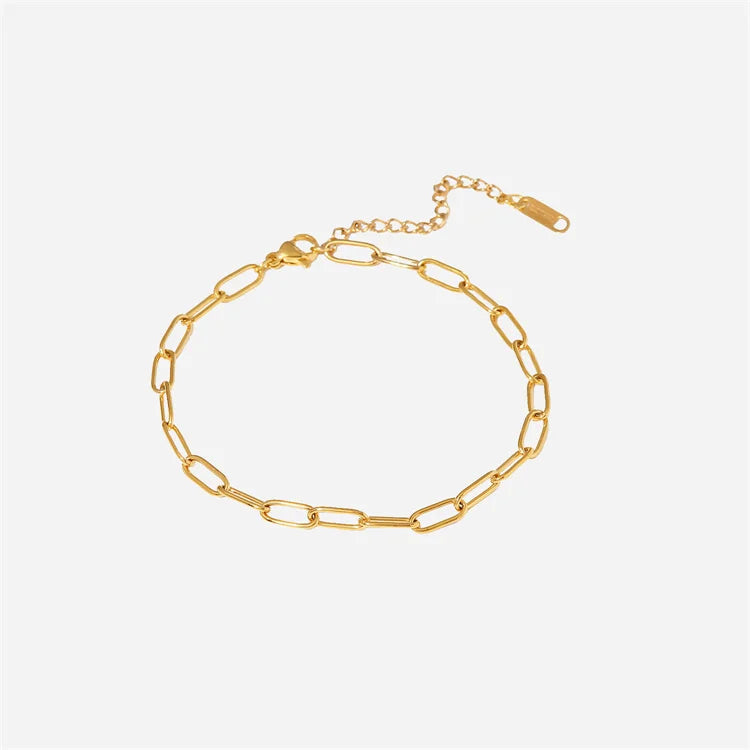 Fashion Simple Anklet for Women 18K Gold Stainless Steel Paperclips Chain  Anklet