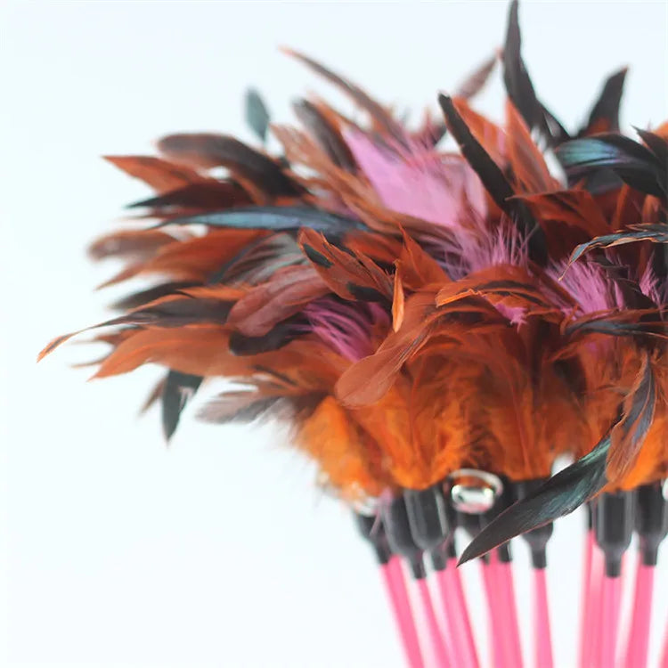 Eco-Friendly Funny Cats Toys Interactive Feather Wand Toy Feathers Wand Toy for Cats