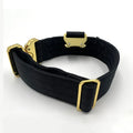 Heavy Duty Nylon Polyester Tactical Modern Personalized Buckle D Ring Pet Dog Leash and Collar Set