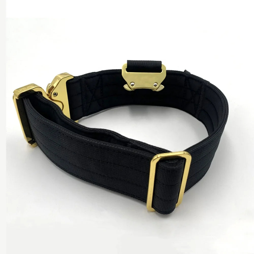 Heavy Duty Nylon Polyester Tactical Modern Personalized Buckle D Ring Pet Dog Leash and Collar Set
