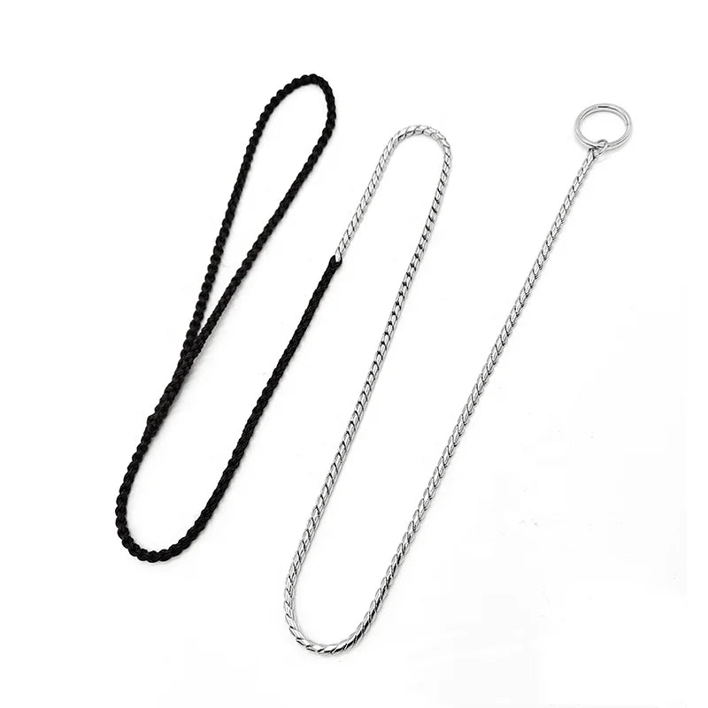 2022 New Fashion Metal Mini P-Chain Brass Dog Collar Chain Leash for Dogs