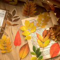 Custom Waterproof PET Stickers for Scrapbooking Arts Crafts