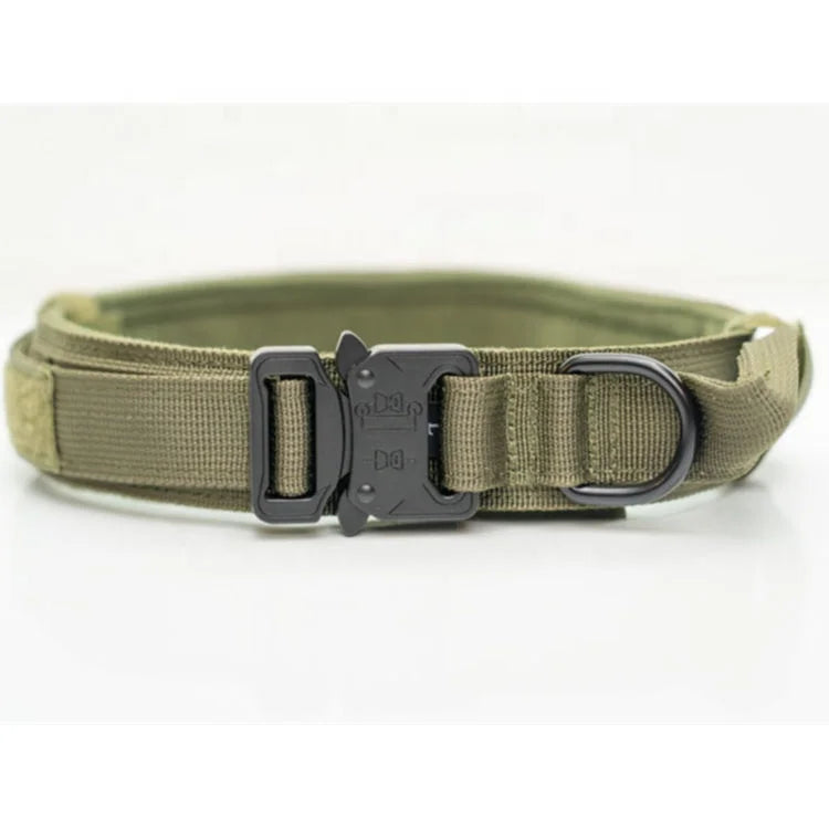 Customize Logo&Color Pet Products Metal Buckle Training Collar for Medium Large Dogs Tactical Dog Collar