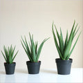 Wholesale PU Green Artificial Aloe Bonsai Plant Simulation Aloe Cera Leaves in Pot Tree Type for Indoor Decor