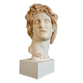 Stone Helios Head Bust Statues for Decoration Custom Greek Marble Natural Hand Carved Online Technical Supportfree Spare Parts MegaBDM