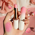 Lip Balm Hydrating Lip Balm OEM/ODM Private Label Replenishing Nourishing Coloring Lip Blam