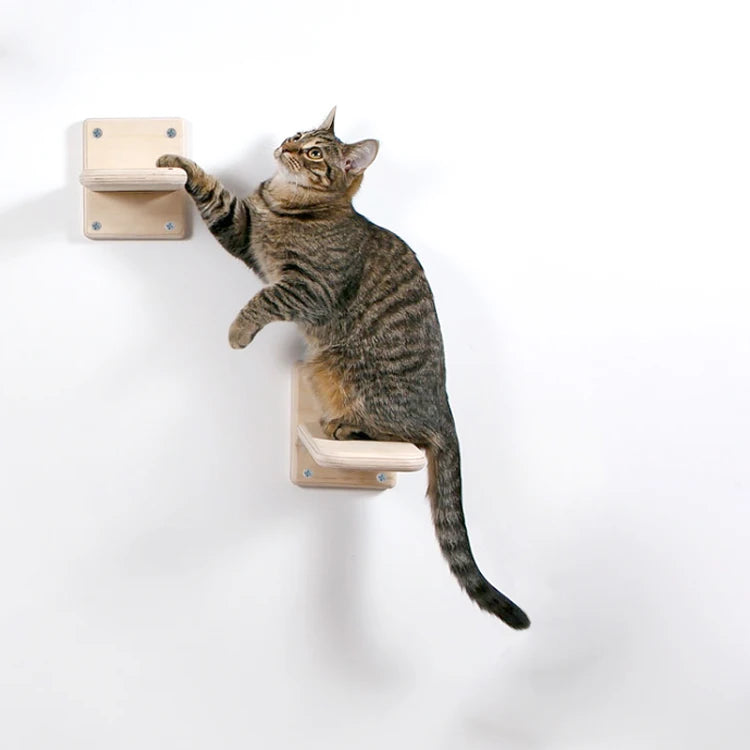 Home Luxurious Cat Climb Track Modern Wall Mounted Shelves Multi Functional Cat Furniture Treat Toy