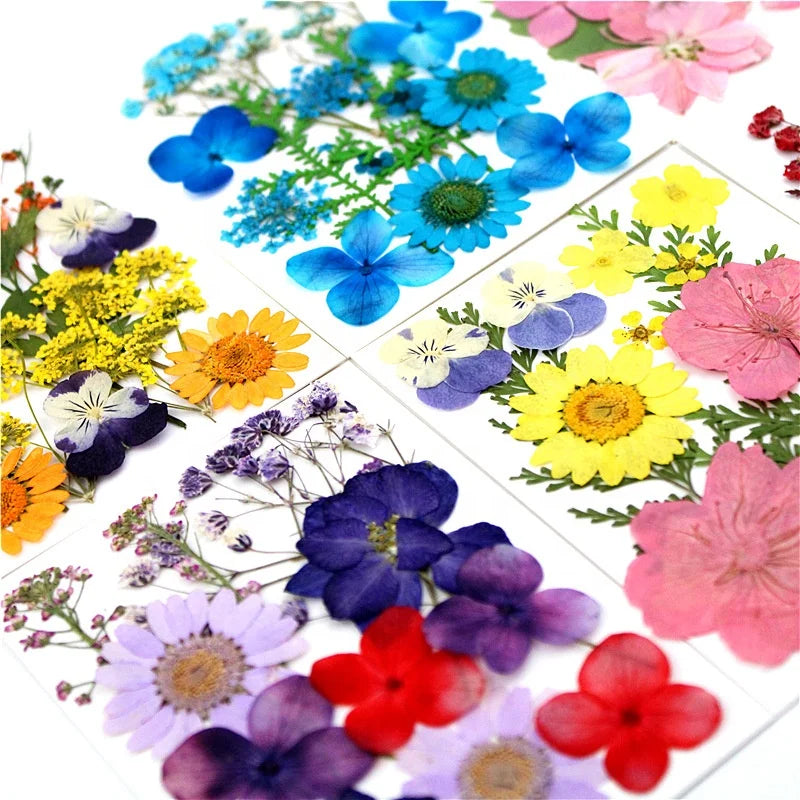 M166 Crystal Epoxy Resin Dried Flowers Pressed Fern Necklace Flower Ring Jewelry & Candle Soap Framed for DIY Wedding Decor