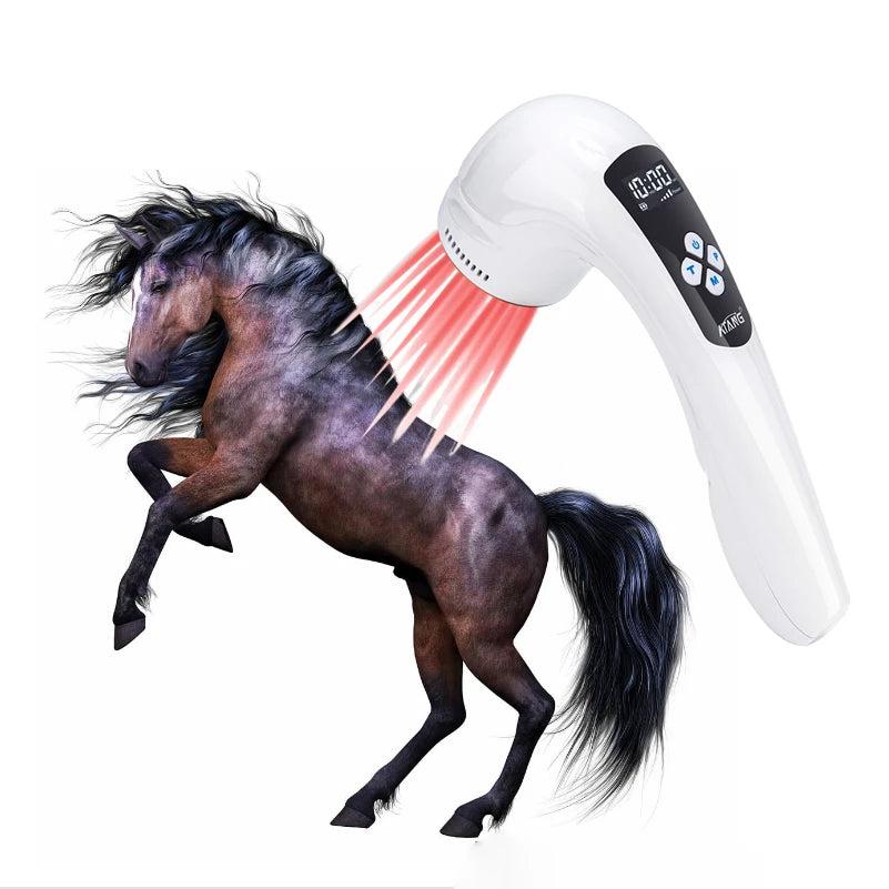 Horse Arthritis Pain 810nm Infrared Light Pain Machine for Animal Wound Healing Dog Ear Infection Machine