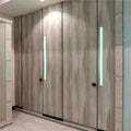 Factory Price Modern Hotel Office Hpl Compact PVC Phenolic Board Stainless Steel Color Toilet Partitions GreatFold 12mm/18mm